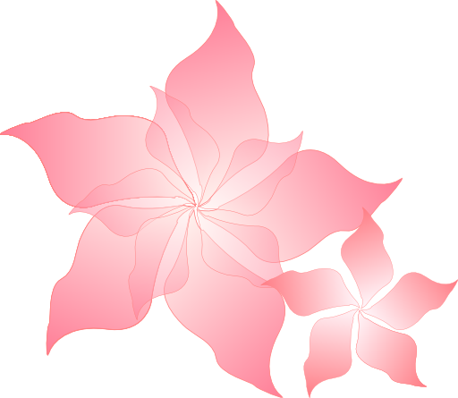 Pink Flower