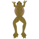 download Frog clipart image with 270 hue color