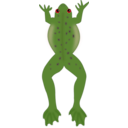 download Frog clipart image with 315 hue color