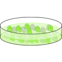 download Cell Culture clipart image with 90 hue color