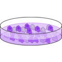 download Cell Culture clipart image with 270 hue color
