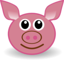 Funny Piggy Face