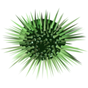 download Sea Urchin clipart image with 90 hue color