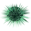 download Sea Urchin clipart image with 135 hue color