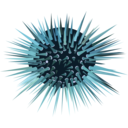 download Sea Urchin clipart image with 180 hue color
