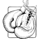 Boxing Gloves