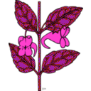 download Ku Impatiens Aurella clipart image with 270 hue color