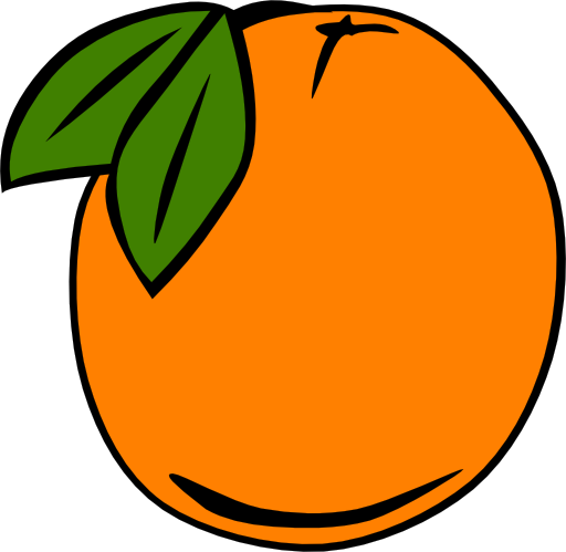 Simple Fruit Orange