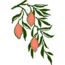 download Lemon Branch clipart image with 315 hue color