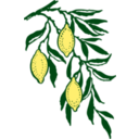 download Lemon Branch clipart image with 0 hue color