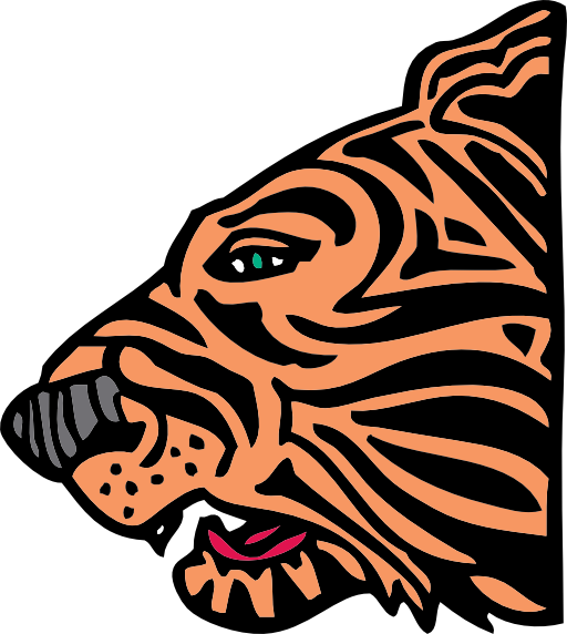 Tiger Head