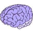 download Brain 2colors clipart image with 225 hue color