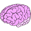 download Brain 2colors clipart image with 270 hue color