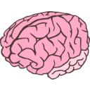 download Brain 2colors clipart image with 315 hue color