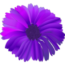 download Flower Pink clipart image with 315 hue color