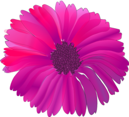 Flower Pink