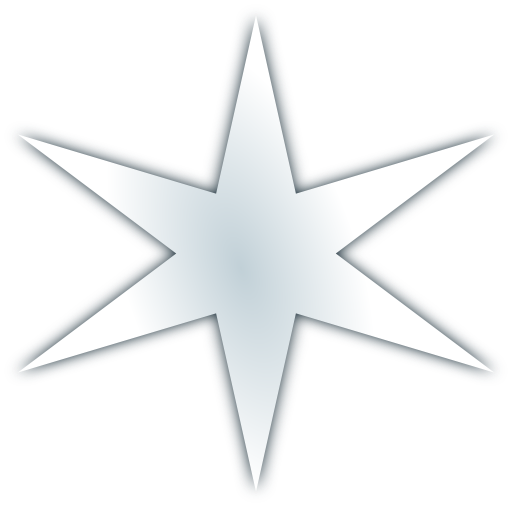 Snow Flake Icon 3