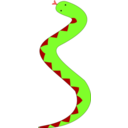 Green Snake With Red Belly