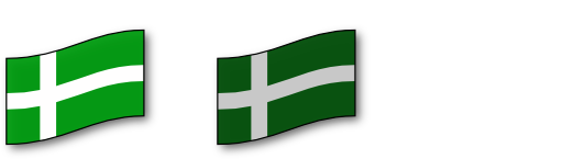 Barra Flag