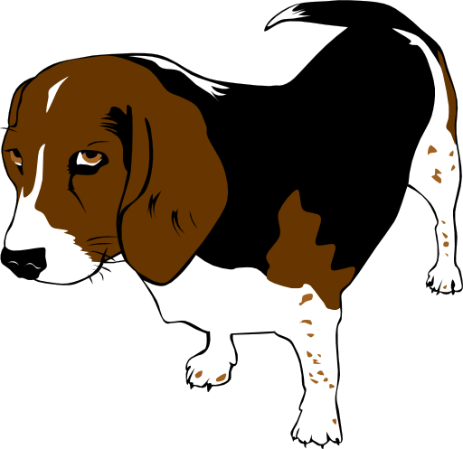 Copper The Beagle