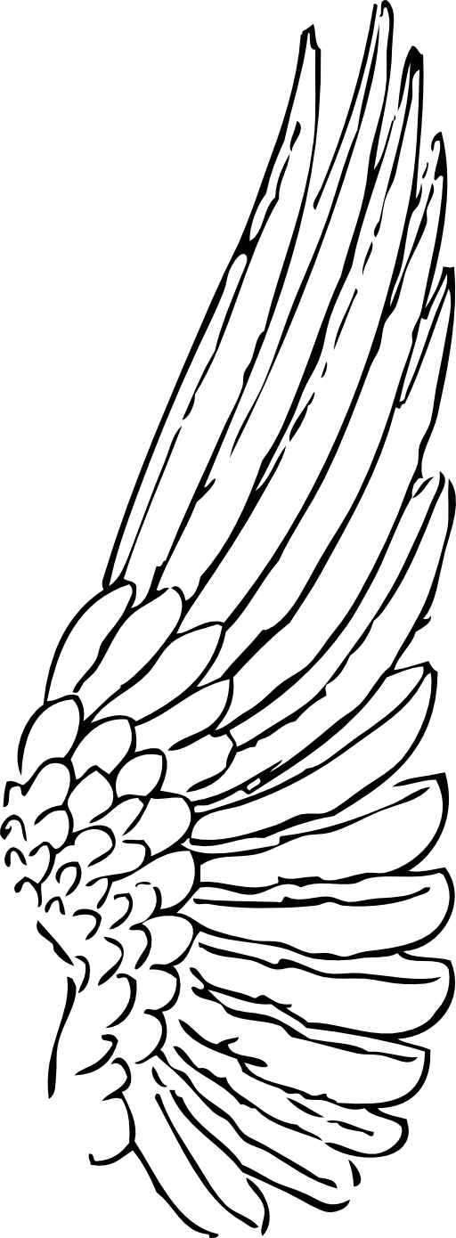 Wing