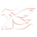 download Holyspirit clipart image with 180 hue color