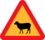 Warning Sheep Roadsign