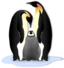 Pinguin Familie