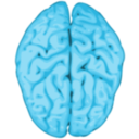 download Brain clipart image with 180 hue color