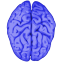 download Brain clipart image with 225 hue color