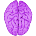 download Brain clipart image with 270 hue color