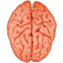 download Brain clipart image with 0 hue color