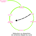 download Eutrophisation Cycle clipart image with 90 hue color