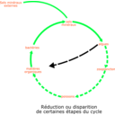 download Eutrophisation Cycle clipart image with 135 hue color