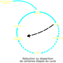 download Eutrophisation Cycle clipart image with 180 hue color