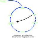 download Eutrophisation Cycle clipart image with 225 hue color