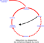 Eutrophisation Cycle