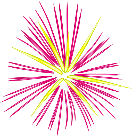 Pink Fireworks