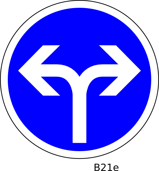 B21e