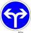 B21e