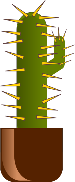 Cactus