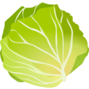 download Cabbage clipart image with 315 hue color