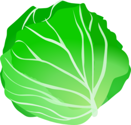 Cabbage