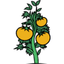 download Tomato Plant clipart image with 45 hue color