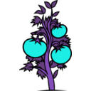 download Tomato Plant clipart image with 180 hue color
