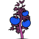 download Tomato Plant clipart image with 225 hue color