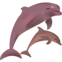 download Dolphins Delfinai clipart image with 135 hue color