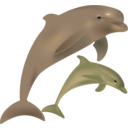 download Dolphins Delfinai clipart image with 180 hue color