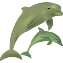 download Dolphins Delfinai clipart image with 225 hue color