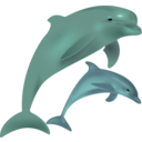 download Dolphins Delfinai clipart image with 315 hue color